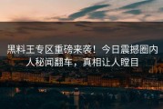 黑料王专区重磅来袭！今日震撼圈内人秘闻翻车，真相让人瞠目