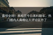 震惊全网！黑料王今日黑料翻车，热门圈内人真相让人评论区炸了