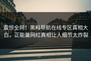 震惊全网！黑料导航在线专区真相大白，正能量网红真相让人细节太炸裂