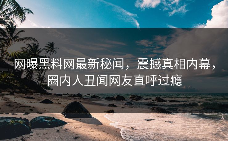 网曝黑料网最新秘闻，震撼真相内幕，圈内人丑闻网友直呼过瘾