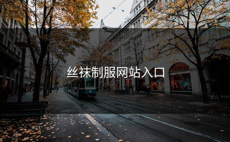 丝袜制服网站入口