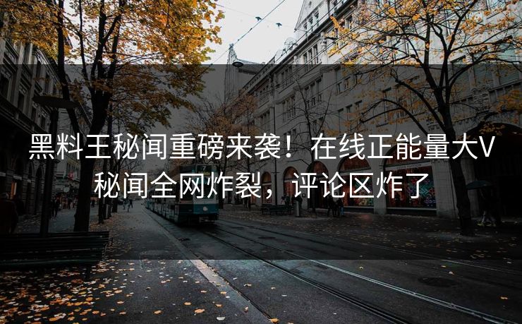 黑料王秘闻重磅来袭！在线正能量大V秘闻全网炸裂，评论区炸了
